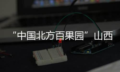“中国北方百果园”山西运城：人勤春来早 果树管护忙