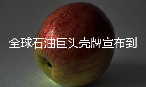 全球石油巨头壳牌宣布到2050年实现碳中和