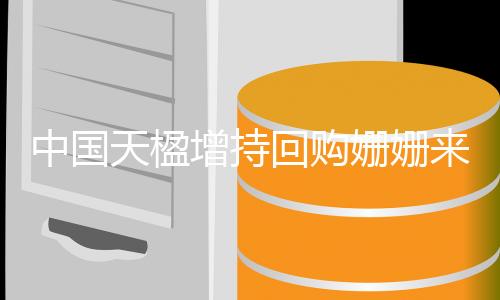 中国天楹增持回购姗姗来迟：大股东有信心 小股民没信心