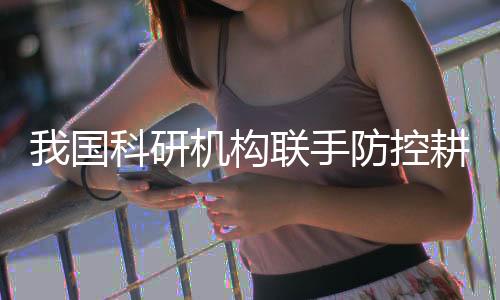 我国科研机构联手防控耕地重金属污染