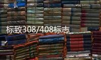 标致308/408标志2008/3008/307/301改装饰汽车配件门槛条迎宾踏板