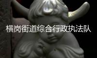 横岗街道综合行政执法队查处两宗绿地违停 罚款1000元!