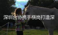 深圳台协携手横岗打造深港澳台创新创业交流基地