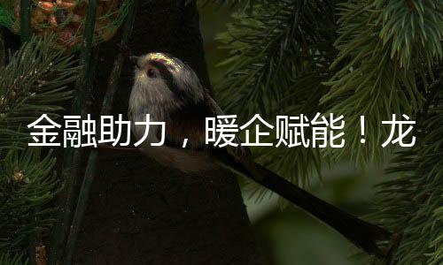 金融助力,暖企赋能!龙岗区金融服务实体经济系列活动启动