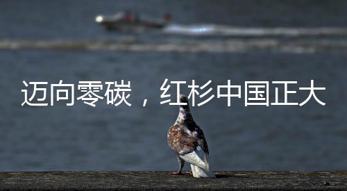 迈向零碳，红杉中国正大举加速碳中和布局！