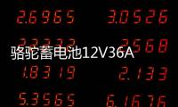 骆驼蓄电池12V36AH汽车电瓶逆变背机适配铃木奥拓飞度锋范三轮车