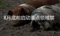 8月底前启动重点领域禁限塑推进情况专项执法检查